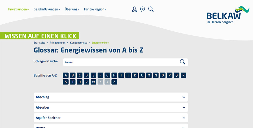 Website Screenshot des Glossars - Referenz: Belkaw GmbH