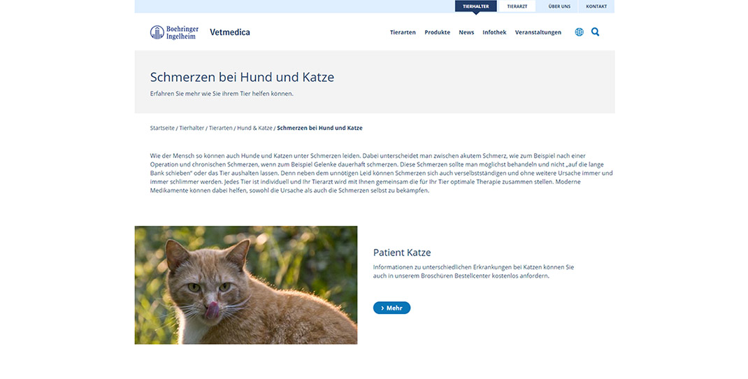 Liegende kranke Katze - Referenz: Boehringer Ingelheim Vetmedica